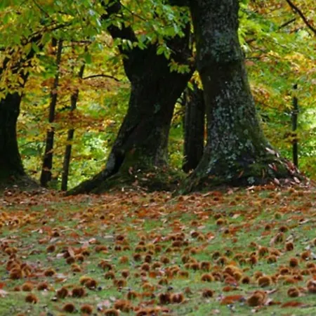 Casa Desi Apartment Combai