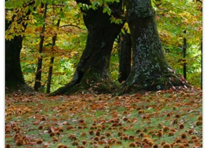 Casa Desi Lejlighed Combai